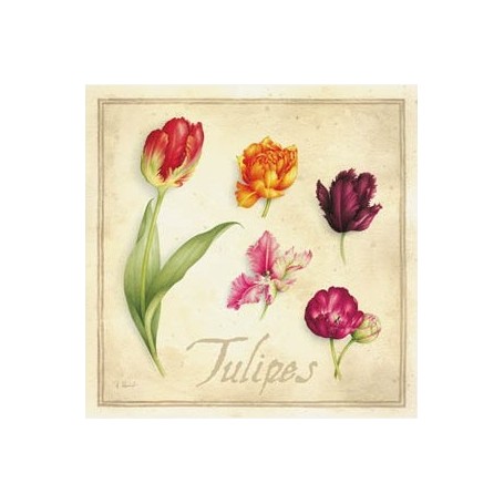 Carte postale, Tulipes van La Boutique in Parijs bij Soap and the City, zepen, parfums, wierook, kaarzen en knuffels